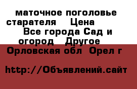 маточное поголовье старателя  › Цена ­ 3 700 - Все города Сад и огород » Другое   . Орловская обл.,Орел г.